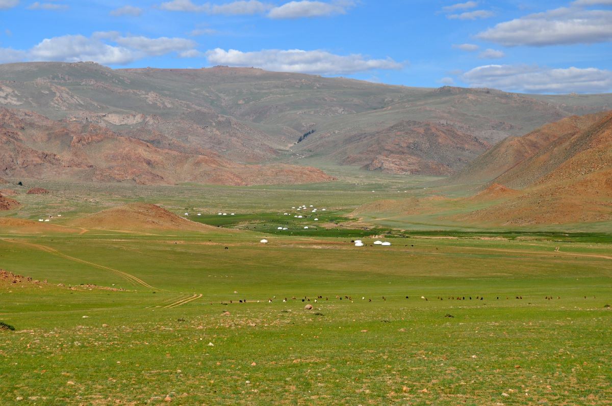 in mongolia local driver for private tours and unforgettable moments