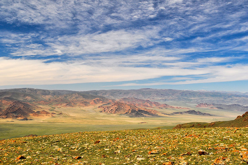 DSC 0295 12m