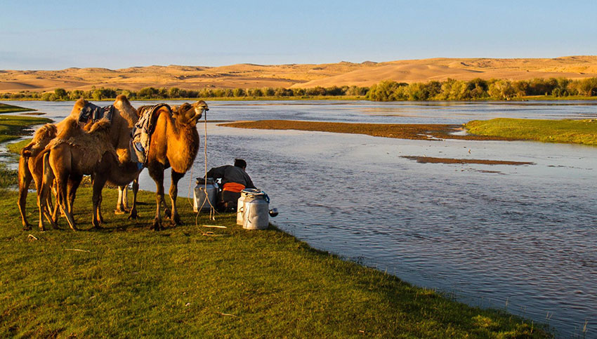 GOBI DESERT